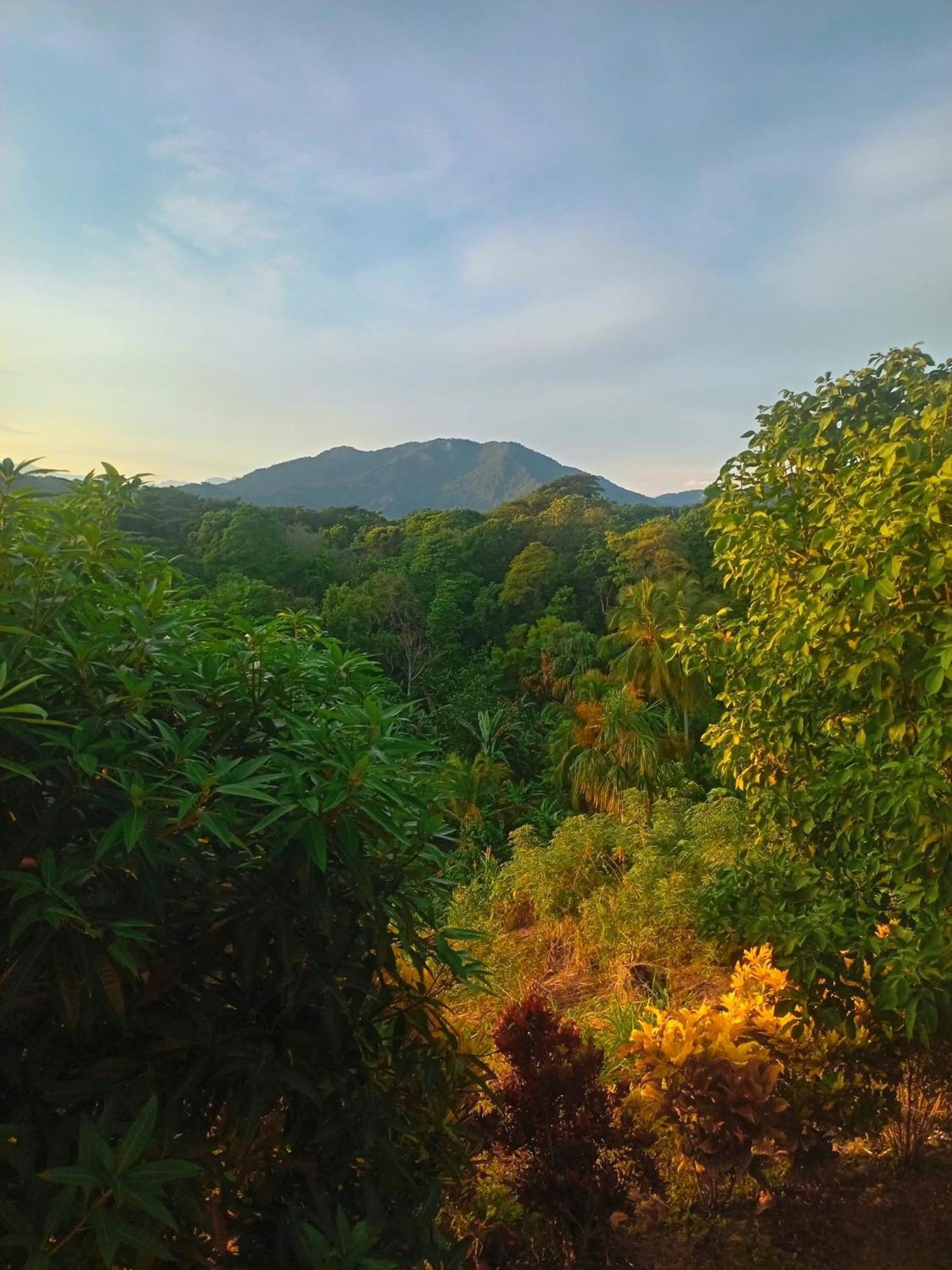 Casa Tolosa Tayrona, Los Cocos La Poza Eksteriør billede